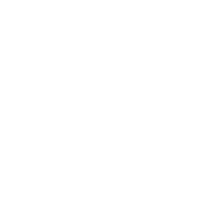 ICONS_key-date-management