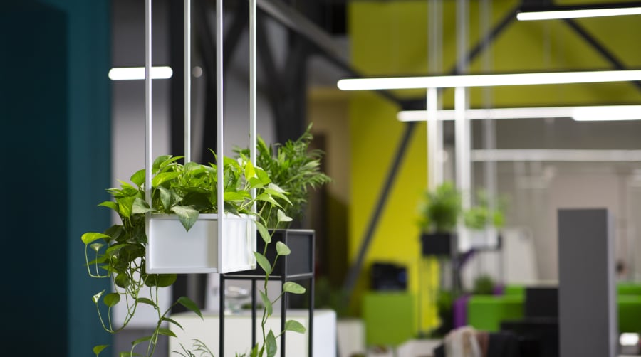 7 Tips For A More Sustainable Office