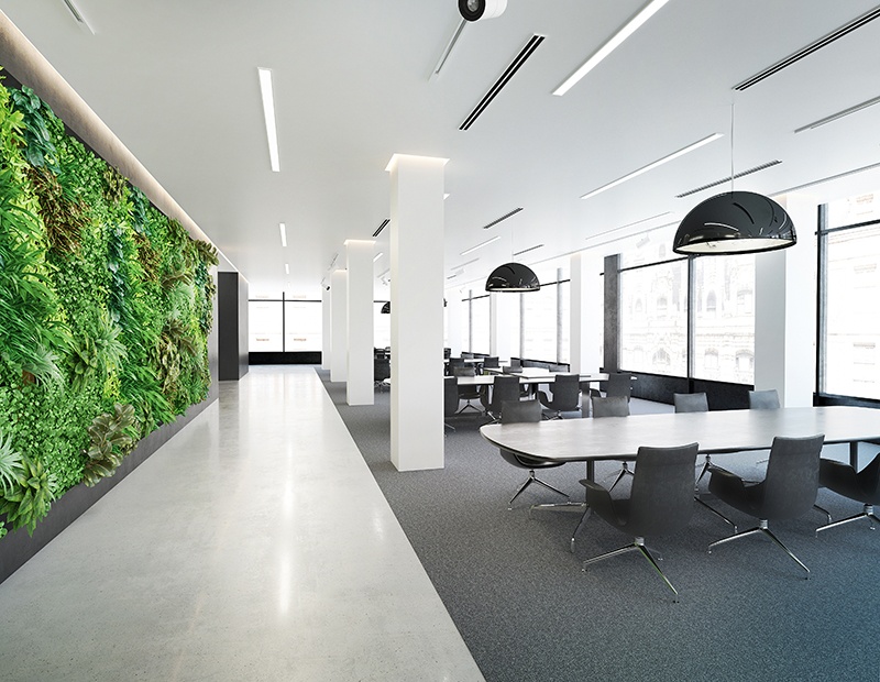 8 Tips for a Greener Commercial Office Space