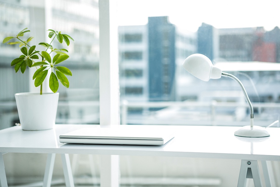Advantages to a Green Office Space