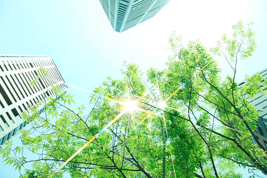 Sustainability, Your Bottom Line and Your Commercial Real Estate